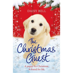 Hachette UK The Christmas Guest book English Paperback 304 pages