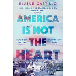 ISBN America Is Not the Heart book Paperback 416 pages