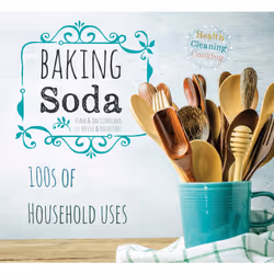 ISBN Baking Soda, House & garden, English, Paperback, 256 pages
