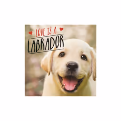 Love is a Labrador by Ellis & Charlie