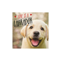 Love is a Labrador by Ellis & Charlie