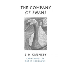 ISBN The Company of Swans book English 48 pages