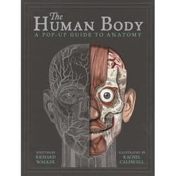 ISBN The Human Body book Hardcover 16 pages