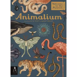 Allen & Unwin Animalium, English, Hardcover, 112 pages