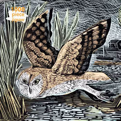 ISBN Adult Jigsaw Puzzle Angela Harding: Marsh Owl, English, 1 pages