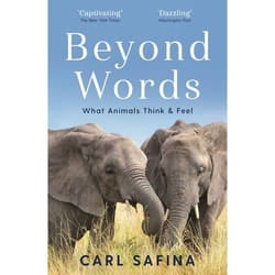 ISBN Beyond Words book Paperback 480 pages