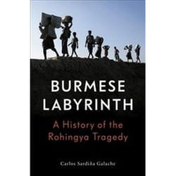 ISBN Burmese Labyrinth book History English 352 pages