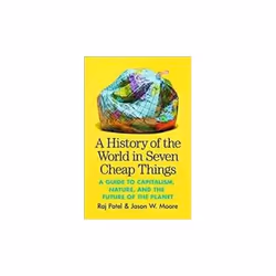 ISBN History of the World in Seven Cheap Things, English, Paperback, 336 pages