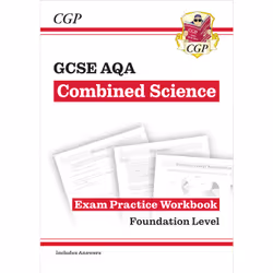 Coordination Group Publications (CGP) SAFQ42B, 292 pages