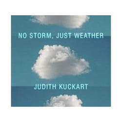 ISBN No Storm Just Weather book General novel English Hardcover 200 pages