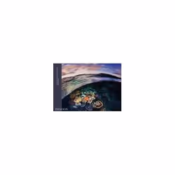 ISBN Two Worlds : Above and Below the Sea, English, Hardcover, 128 pages
