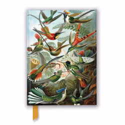 ISBN Ernst Haeckel: Hummingbirds (Foiled Journal), English, 176 pages
