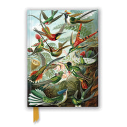 ISBN Ernst Haeckel: Hummingbirds (Foiled Journal)
