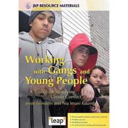 UBC Press Working with Gangs and Young People book Paperback 140 pages