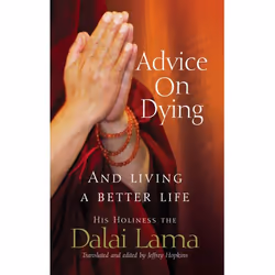 ISBN Advice On Dying, English, Paperback, 240 pages