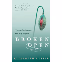 ISBN Broken Open, English, Paperback, 336 pages