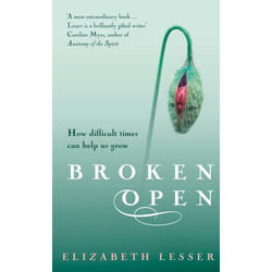 ISBN Broken Open book English Paperback 336 pages