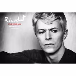 ISBN Ricochet, English, 328 pages