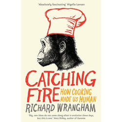 Allen & Unwin Catching Fire book Food & drink English Paperback 320 pages