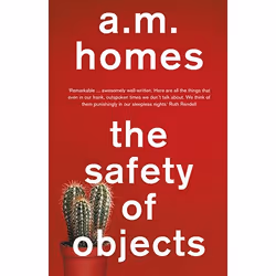 Allen & Unwin The Safety Of Objects, Literary fiction, English, Paperback, 178 pages