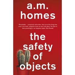 Allen & Unwin The Safety Of Objects book Literary fiction English Paperback 178 pages
