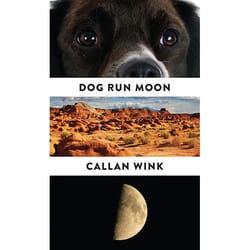 Allen & Unwin Dog Run Moon book Fiction English 256 pages