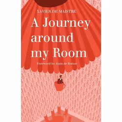 ISBN A Journey Around My Room, English, Paperback, 256 pages