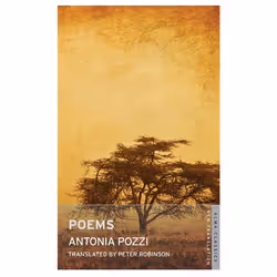 ISBN Poems, English, Paperback, 144 pages