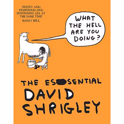 Allen & Unwin What The Hell Are You Doing?: The Essential David Shrigley, English, Paperback, 352 pages