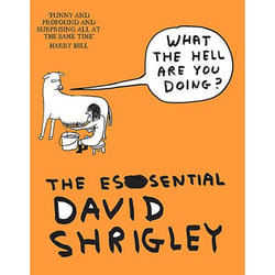 Allen & Unwin What The Hell Are You Doing?: The Essential David Shrigley book English Paperback 352 pages