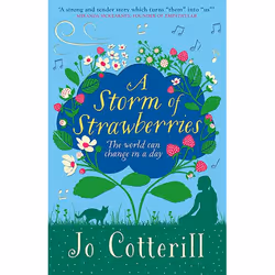 Allen & Unwin A Storm of Strawberries, English, Paperback, 240 pages