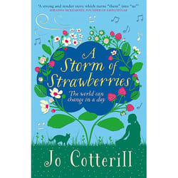 Allen & Unwin A Storm of Strawberries book English Paperback 240 pages