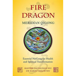 UBC Press Fire Dragon Meridian Qigong book Paperback