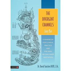 UBC Press The Divergent Channels - Jing Bie book Paperback