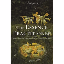 UBC Press The Essence Practitioner, Paperback