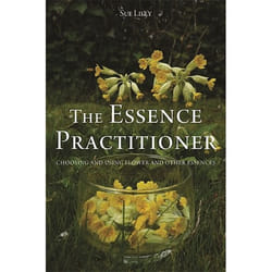 UBC Press The Essence Practitioner book Paperback