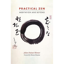 UBC Press Practical Zen book Paperback 224 pages