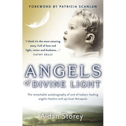 ISBN Angels of Divine Light book English Paperback 304 pages