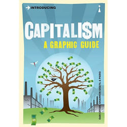 Allen & Unwin Introducing Capitalism book Politics English Paperback 176 pages