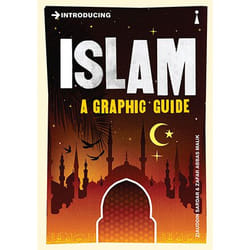 Allen & Unwin Introducing Islam book Religion English Paperback 176 pages