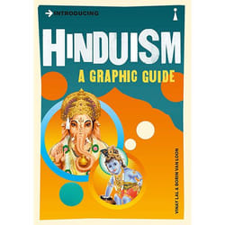 Allen & Unwin Introducing Hinduism book Religion English Paperback 176 pages