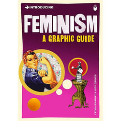 Allen & Unwin Introducing Feminism book English Paperback 176 pages