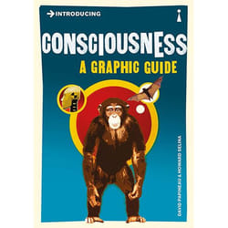 Allen & Unwin Introducing Consciousness book English Paperback 176 pages