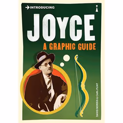 Allen & Unwin Introducing Joyce, Literature, English, Paperback, 176 pages