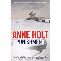 Allen & Unwin Punishment (Vik & Stubo 1), Crime fiction, English, Paperback, 384 pages
