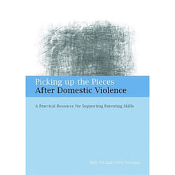 UBC Press Picking up the Pieces After Domestic Violence book Paperback 144 pages
