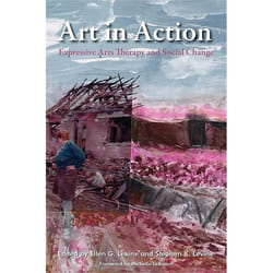 UBC Press Art in Action book Paperback 240 pages