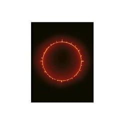 ISBN Dark Room book Photography English Hardcover 240 pages