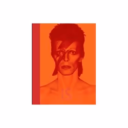 ISBN David Bowie Is, Music, English, Hardcover, 288 pages