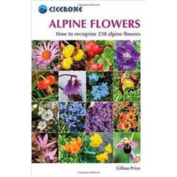 ISBN Alpine Flowers book English 144 pages